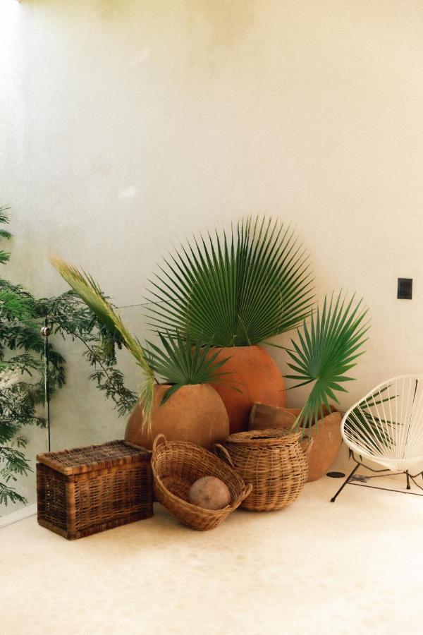 16Tulum Hotel Bagian luar foto